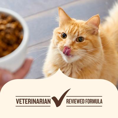 Show full view: Nutrish Whole Health Blend Chicken & Brown Rice Recipe Dry Cat Food (Rachael Ray), 6-lb bag slide 7 of 13