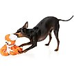 Show in main carousel: FuzzYard Sailor Squiggles Squeaky Plush Dog Toy slide 4 of 6