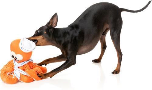 Show full view: FuzzYard Sailor Squiggles Squeaky Plush Dog Toy slide 4 of 6