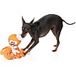 Show in main carousel: FuzzYard Sailor Squiggles Squeaky Plush Dog Toy slide 3 of 6