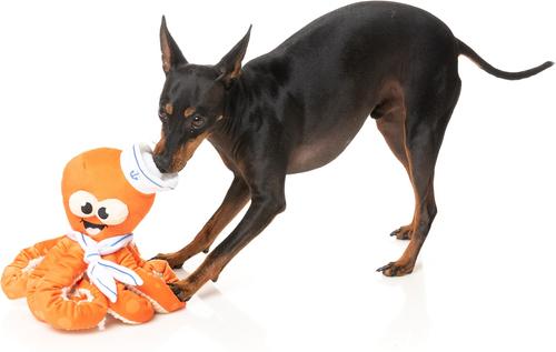 Show full view: FuzzYard Sailor Squiggles Squeaky Plush Dog Toy slide 3 of 6