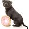 Show in main carousel: FuzzYard Giant Donut Squeaky Plush Dog Toy slide 3 of 5