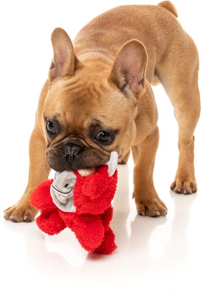 Show full view: FuzzYard Flat Out Nasties Jordan The Bull Squeaky Stuffing-Free Plush Dog Toy slide 3 of 5