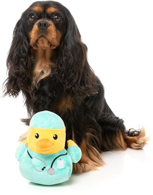 Show full view: FuzzYard Ducktor Squeaky Plush Dog Toy slide 4 of 9