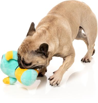 Show full view: FuzzYard Ducktor Squeaky Plush Dog Toy slide 3 of 9