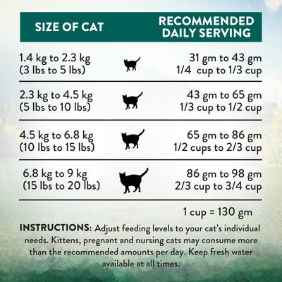 Show full view: Addiction Premium Wild Islands Island Birds Poultry Grain-Free & High-Protein Dry Cat Food, 4-lb bag slide 8 of 11