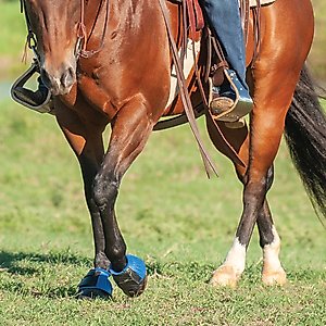 Cashel Rubber Bell Horse Boots, Teal, Large