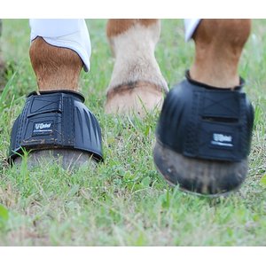 Cashel Rubber Bell Horse Boots, Teal, Large