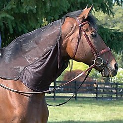 Cashel Quiet Ride Horse Fly Sheet Hood