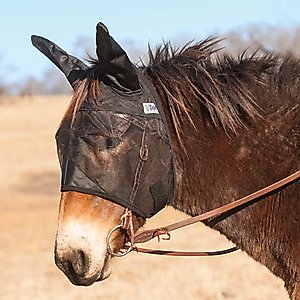 Cashel Quiet Ride Mule Fly Mask with Ears, Black, Mule Horse