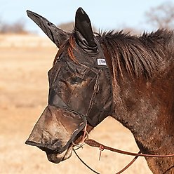 Cashel Quiet Ride Mule Fly Mask with Long Nose & Ears, Black, Mule Weanling