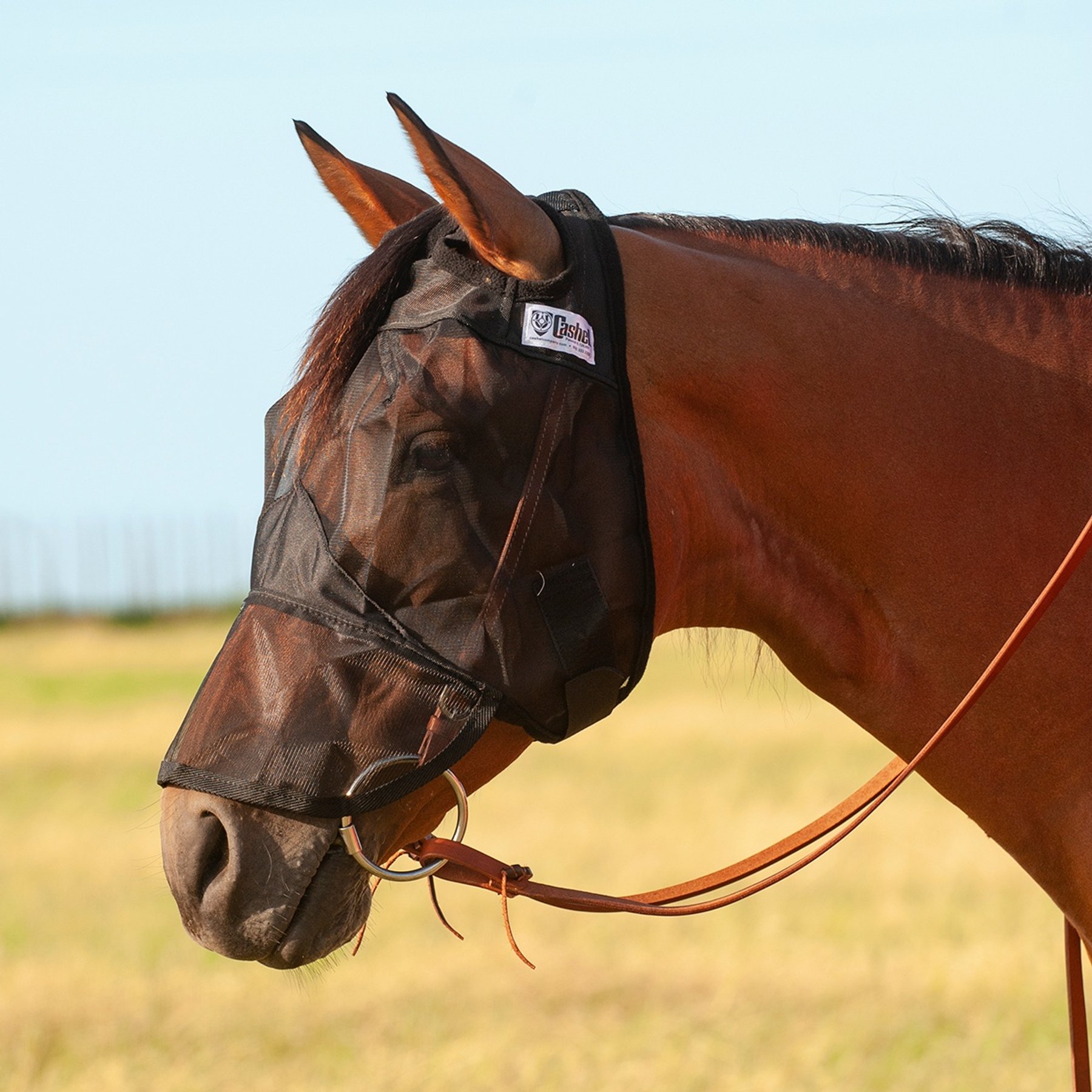 Cashel Quiet Ride Horse Fly Mask with Long Nose, Black, Yearling