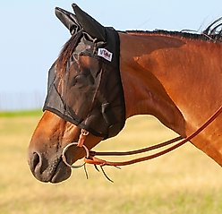 Cashel Quiet Ride Horse Fly Mask with Ears, Black, Draft