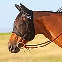 Cashel Quiet Ride Horse Fly Mask with Ears, Black, Draft