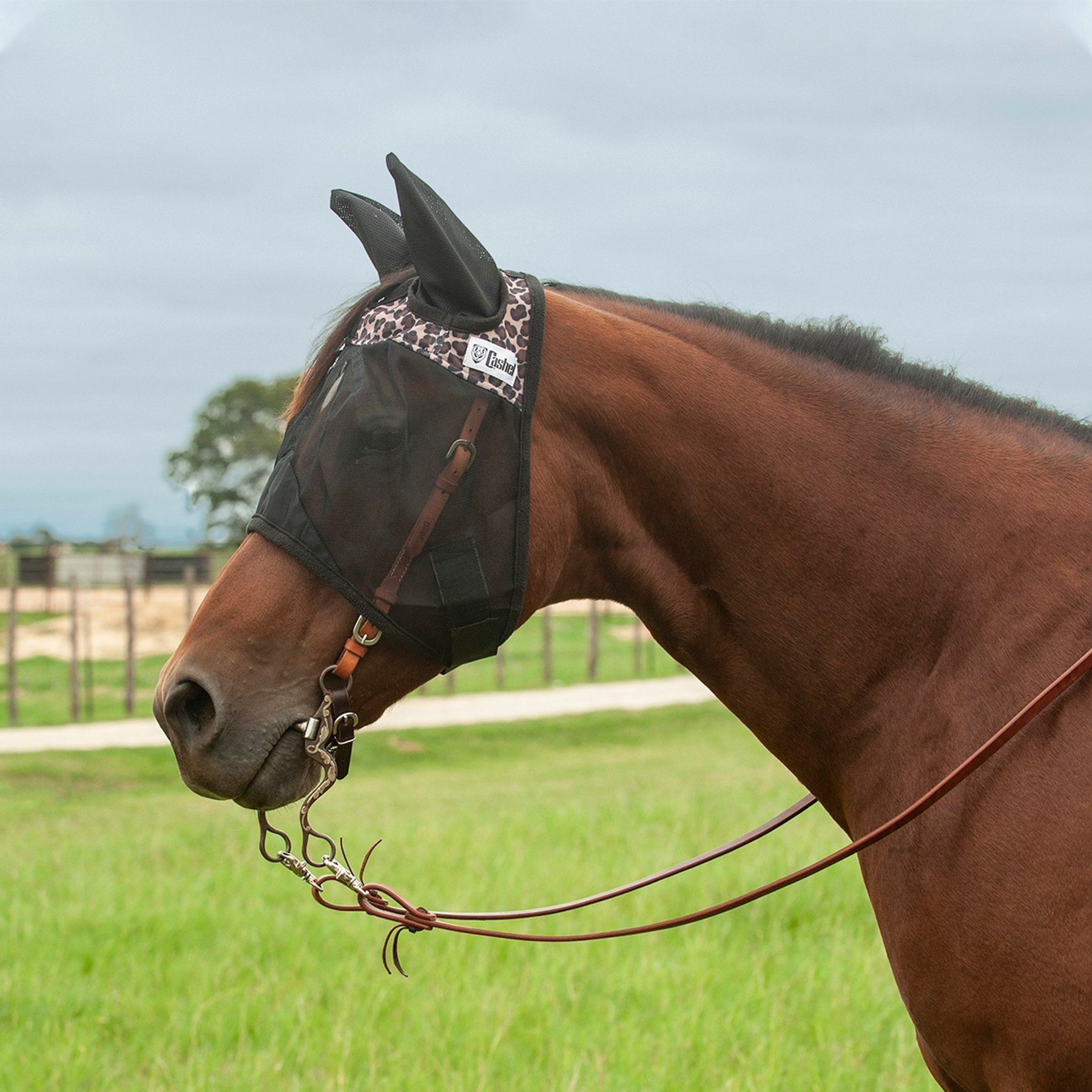 Cashel Quiet Ride Horse Fly Mask with Ears, Leopard, Yearling