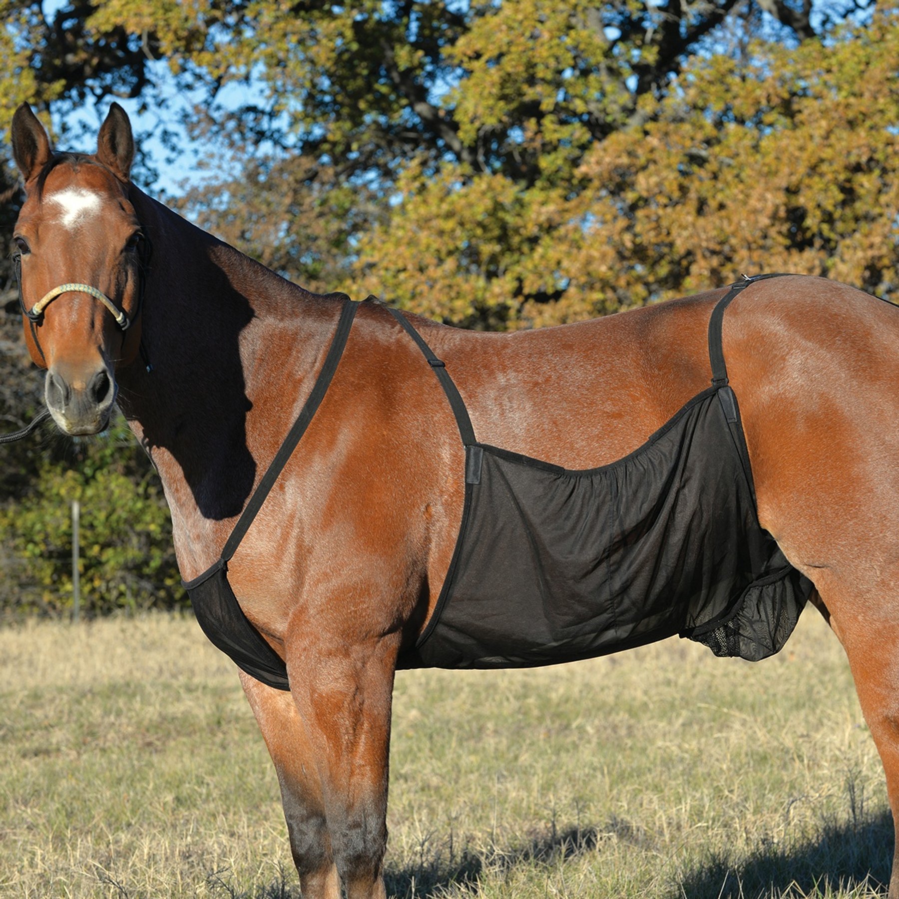 Cashel Horse Belly Guard, Small