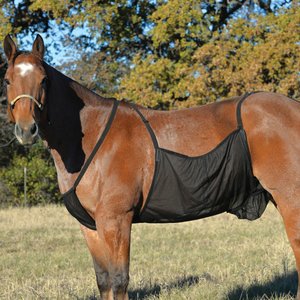 Cashel Belly Guard Horse Fly Sheet, Black, Large