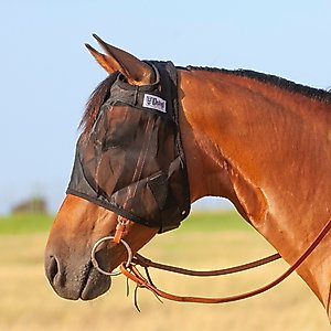 Cashel Quiet Ride Horse Fly Mask, Black, Yearling