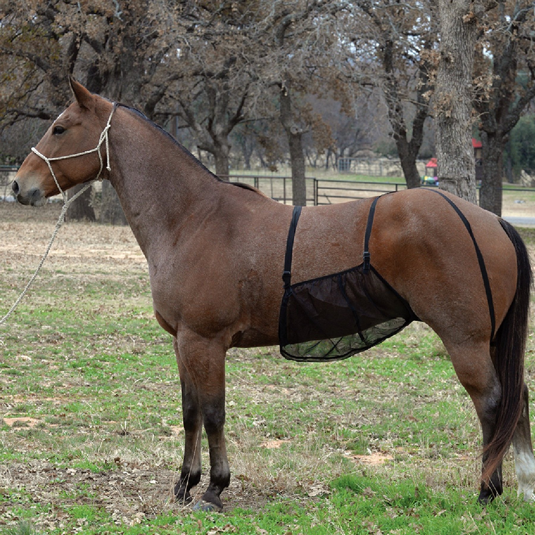 Cashel Quiet Ride Horse Belly Guard, Black, Small