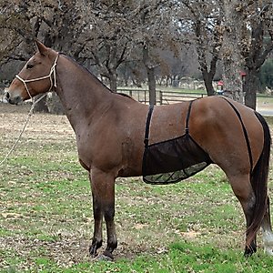 Cashel Quiet Ride Belly Guard Horse Fly Sheet, Black, Small