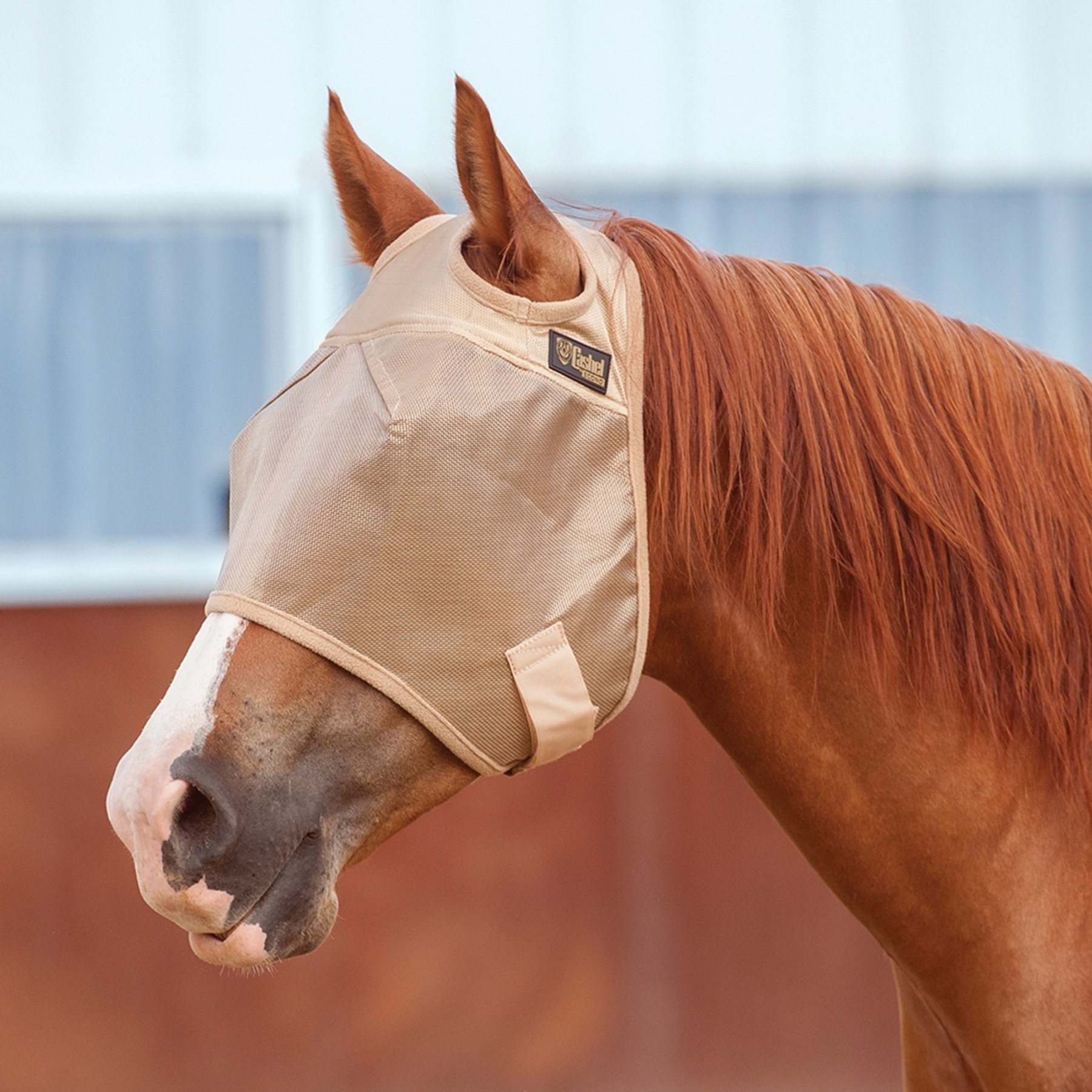 Cashel Economy Standard Horse Fly Mask, Gold, Horse