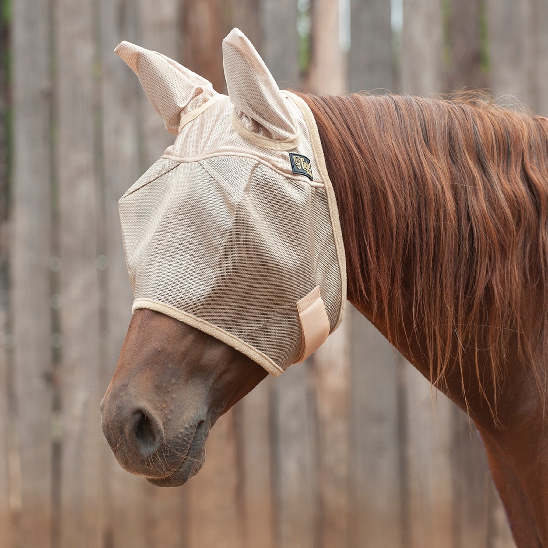 Cashel Economy Horse Fly Mask with Ears, Gold, Warmblood