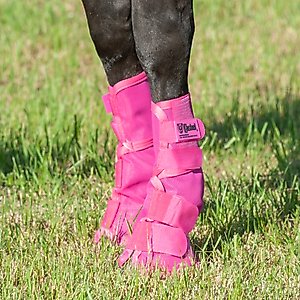 Cashel Crusader Horse Leg Guards, Pink, Horse