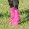 Show in main carousel: Cashel Crusader Horse Leg Guard Fly Boots, Pink, Arabian slide 4 of 5