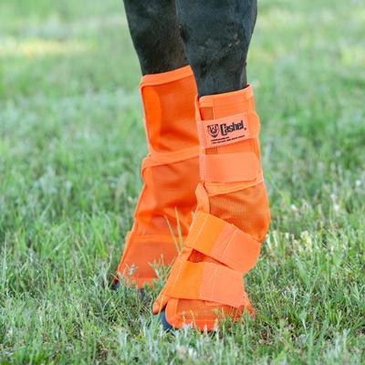 Show full view: Cashel Crusader Horse Leg Guard Fly Boots, Orange, Horse slide 4 of 5