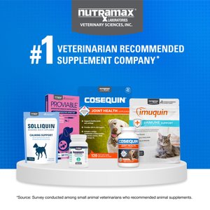 Nutramax Cosequin Hip & Joint with Glucosamine, Chondroitin & Omega-3's Soft Chew Joint Supplement for Cats, 60 count