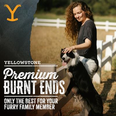 Show full view: Yellowstone Dutton Ranch Dog Treat Co. Ranch Cuts Burnt Ends Crunchy Dog Treats, 8-oz bag slide 4 of 9