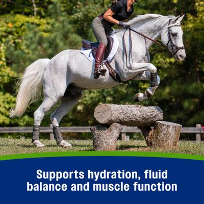 Show full view: Farnam Apple Elite Electrolyte Powder Apple Flavor Horse Supplement, 5-lb tub slide 6 of 10