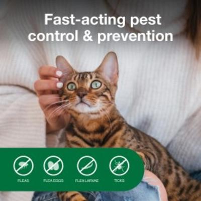 Show full view: Flea Prevention Kit - Dogs (4-22 lbs) Advantus Soft Chews + Advantage Household Fogger slide 9 of 9