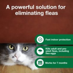 Flea Prevention Kit - Dogs (23-110 lbs) Advantus Soft Chews + Advantage Household Fogger slide 2 of 9