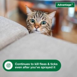 Flea Prevention Kit - Dogs (23-110 lbs) Advantus Soft Chews + Advantage Carpet & Upholstery Spray slide 2 of 9