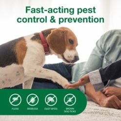 Flea Prevention Kit - Dogs (4-22 lbs) Advantus Soft Chews + Advantage Carpet & Upholstery Spray slide 2 of 9