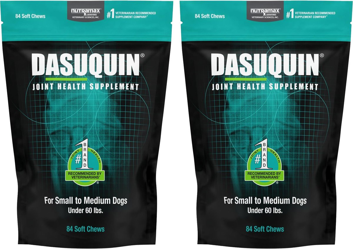 Nutramax Dasuquin Hip & Joint Soft Chews Joint Supplement: Complete Guide & Key Details