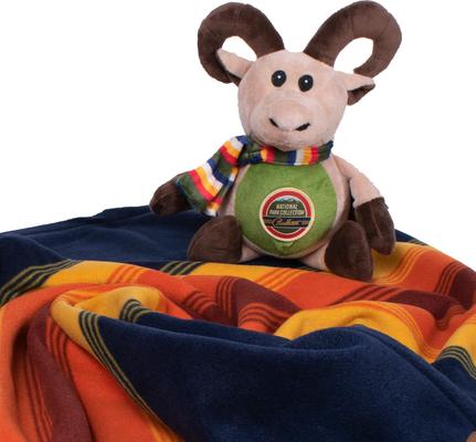 Show full view: Pendleton National Park Pet Throw + Dog Toy Set, Grand Canyon slide 3 of 5