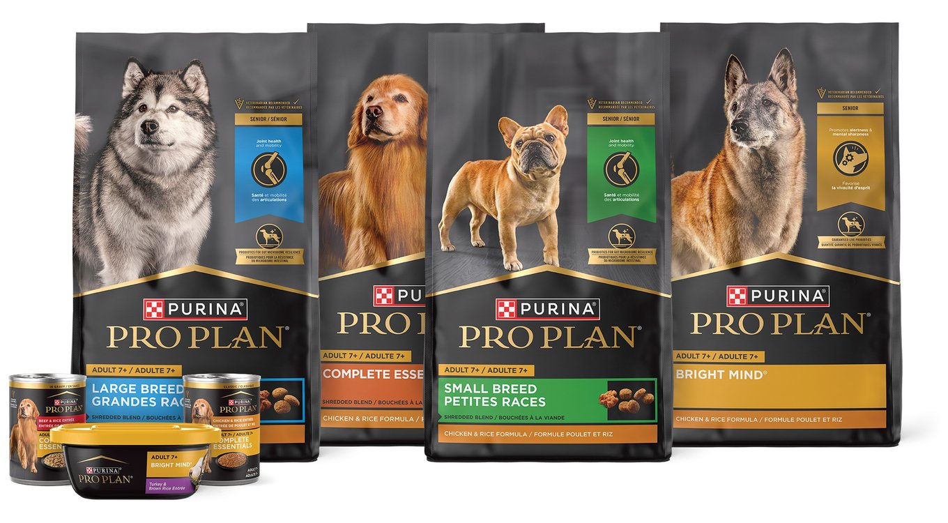 PURINA PRO PLAN Sensitive Skin & Stomach 7+ Salmon & Rice Formula Dry