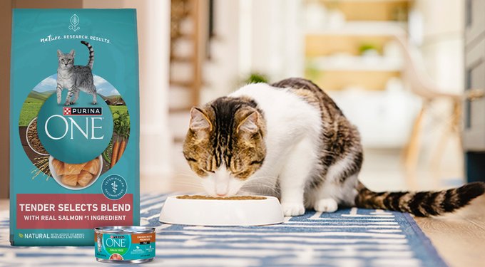 Purina ONE +Plus Indoor Advantage with Real Turkey Weight-Control & Hairball Adult Dry Cat Food