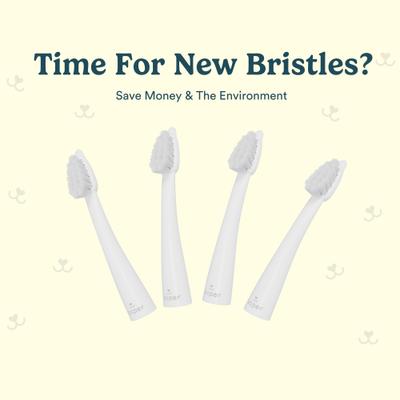 Show full view: Jasper Microbrush Cat & Small Dog Toothbrush Replacement Heads, 4 count slide 3 of 6