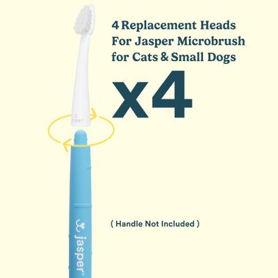 Show full view: Jasper Microbrush Cat & Small Dog Toothbrush Replacement Heads, 4 count slide 5 of 6
