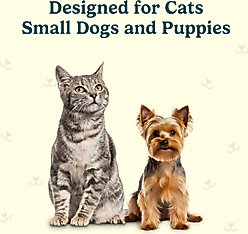 Jasper Microbrush Cat & Small Dog Toothbrush Replacement Heads, 4 count slide 2 of 5