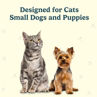 Show full view: Jasper Microbrush Cat & Small Dog Toothbrush Replacement Heads, 4 count slide 4 of 6