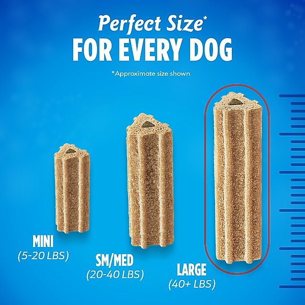 DentaLife ActivFresh Daily Oral Care Large Dental Dog Treats