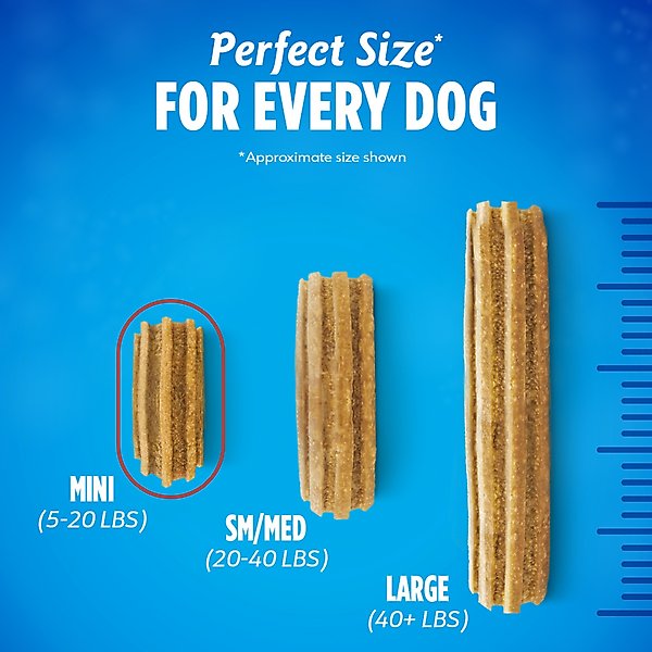 DentaLife Daily Oral Care Mini Dental Dog Treats