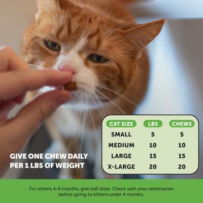 Show full view: Pet Honesty Hairball Control Chicken Flavored Chews Digestive Support Supplement for Cats, 3.7-oz pouch, 2 count slide 6 of 12