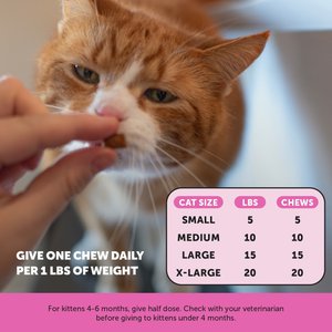 Pet Honesty Dual Texture Chicken Flavored Multivitamin Omega-3 & Lysine Chews for Cats, 3.7-oz pouch