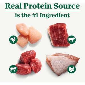 Nutro Grain-Free Beef, Chicken, Turkey & Lamb Stew Cuts in Gravy Variety Pack Adult Wet Dog Food, 3.5-oz, case of 24