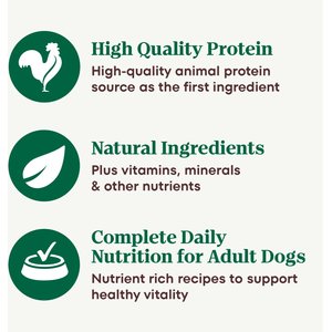 Nutro Grain-Free Beef, Chicken, Turkey & Lamb Stew Cuts in Gravy Variety Pack Adult Wet Dog Food, 3.5-oz, case of 24